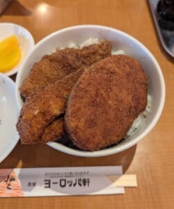 【福井・敦賀グルメ】「敦賀ヨーロッパ軒 中央店」で味わう！欲張りすぎる絶品「ミックス丼」の魅力